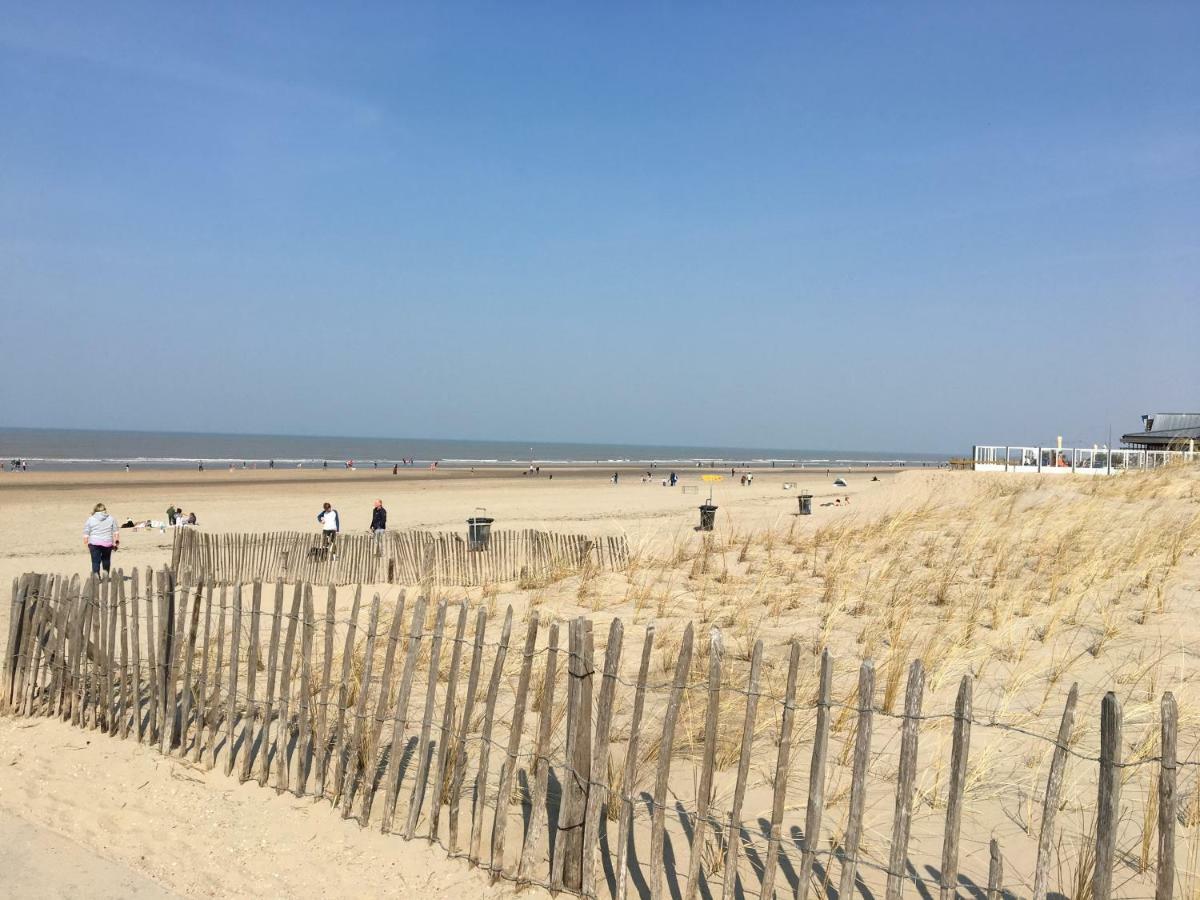 Amsterdam Beach Home 4 Zandvoort Exteriör bild
